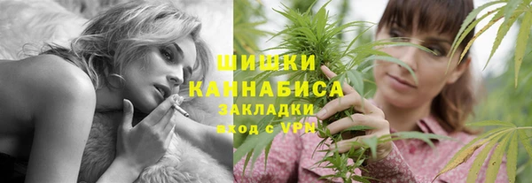 твердый Бронницы