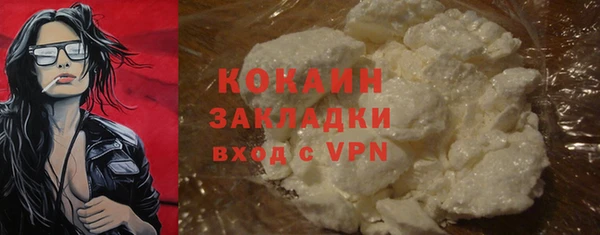тгк Бородино