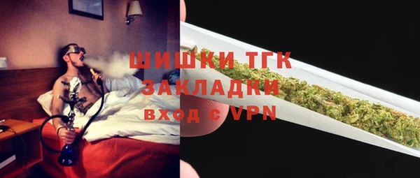тгк Бородино