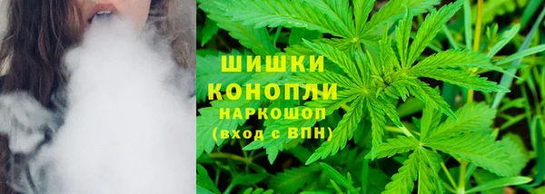 тгк Бородино